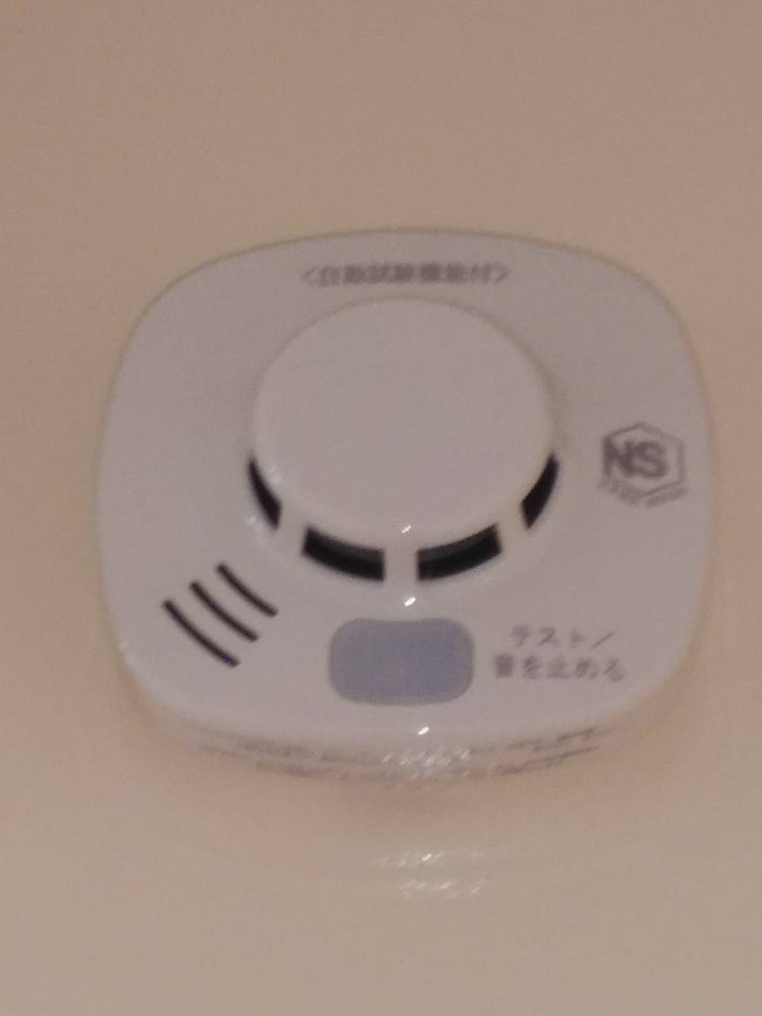 アムール21内観